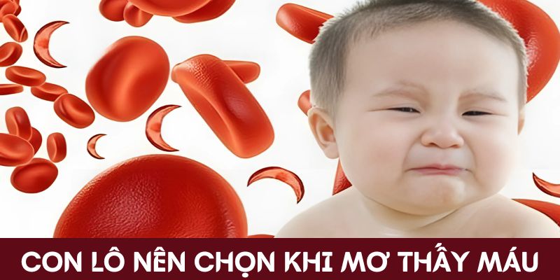 Con lô nên chọn khi mộng thấy máu